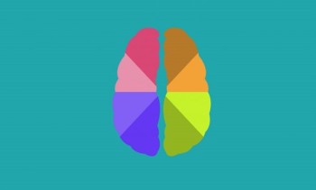 Maximizing Digital Marketing Impact with Color Psychology