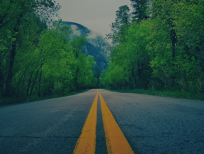 Paving Your Path Towards